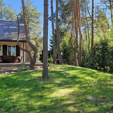 Domek Nad Narwia Dlugosiodlo エクステリア 写真