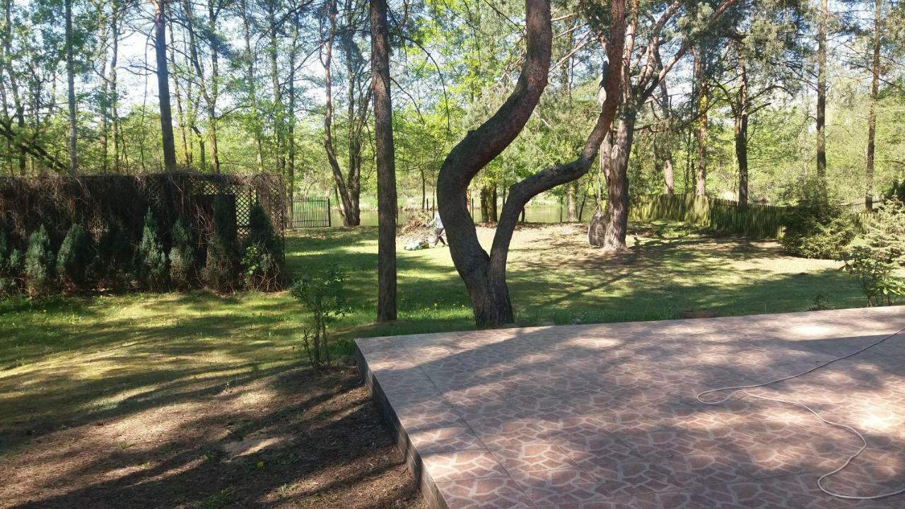 Domek Nad Narwia Dlugosiodlo エクステリア 写真